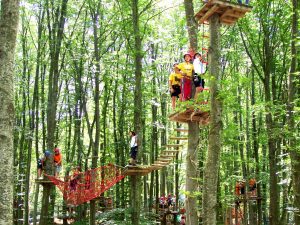 Cervarezza, Parco avventura Cerwood