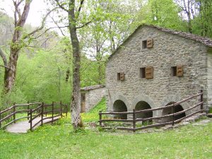 Collagna L'Antico Mulino di Cerreto Alpi