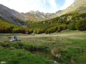 Passo del Cerreto, Sorgenti del Secchia