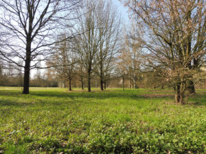 Parco del Mauriziano