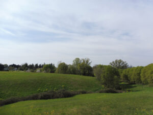 Panorama Albinea