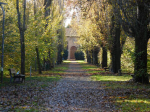 Viale del Mauriziano