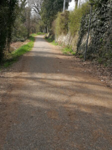 Ciclabile Parco del Crostolo