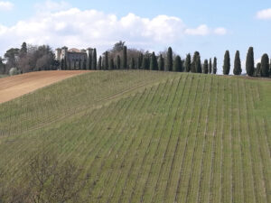 Puianello, castello del Più Bello