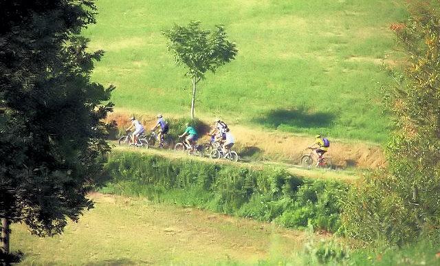 passeggiata in bicicletta UPM