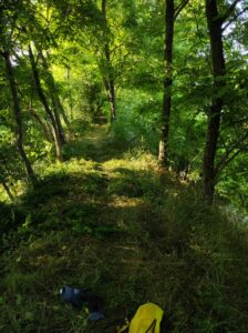 pulizia greenway modolena