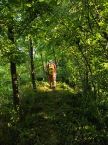 pulizia greenway modolena