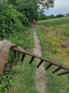 pulizia greenway modolena